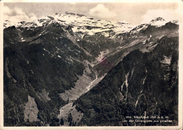 Kärpfstock von der Ohrenplatte aus gesehen Vorderseite