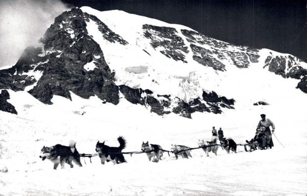 Jungfraubahn, Schlittenfahrt mit Polarhunden auf Jungfraujoch - Monch Vorderseite