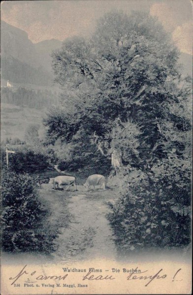 Waldhaus Flims Vorderseite