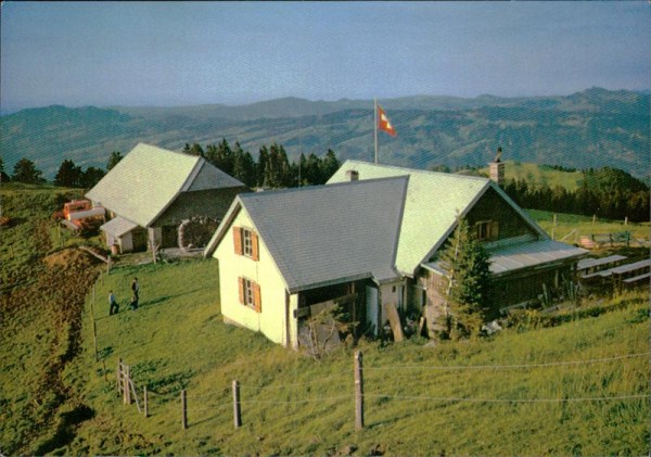 Toggenburg Vorderseite