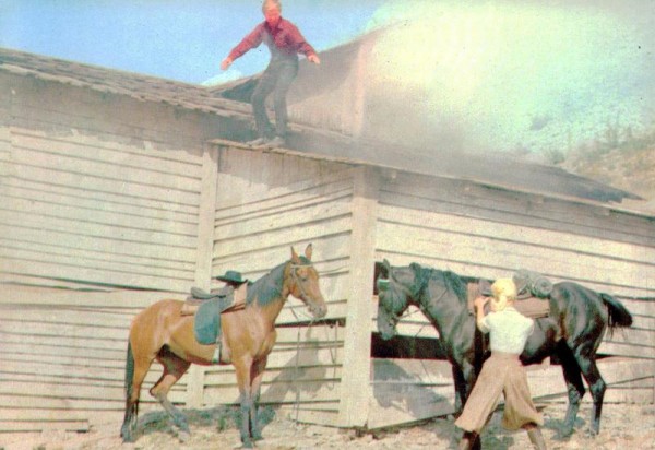 Eine Szene aus dem Film Unter Geiern Vorderseite