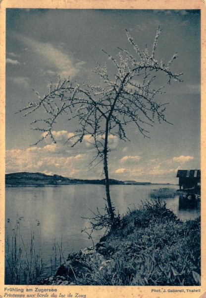 Frühling am Zugersee Vorderseite