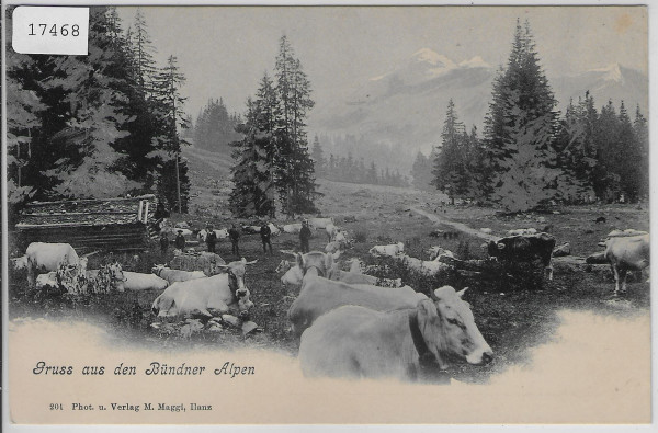 Gruss aus den Bündner Alpen - Kuhherde vaches cows
