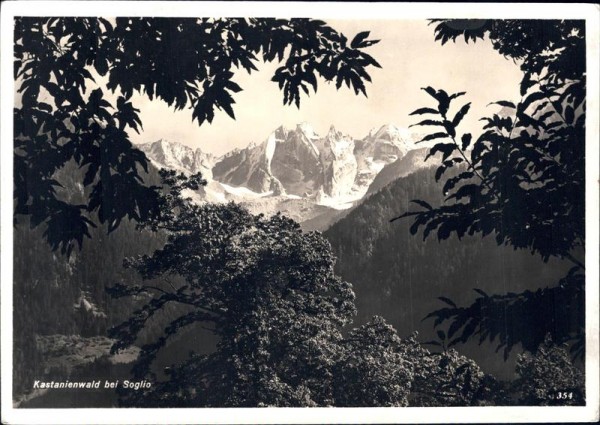 Kastanienwald bei Soglio  Vorderseite