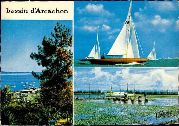 Bassin d’Arcachon