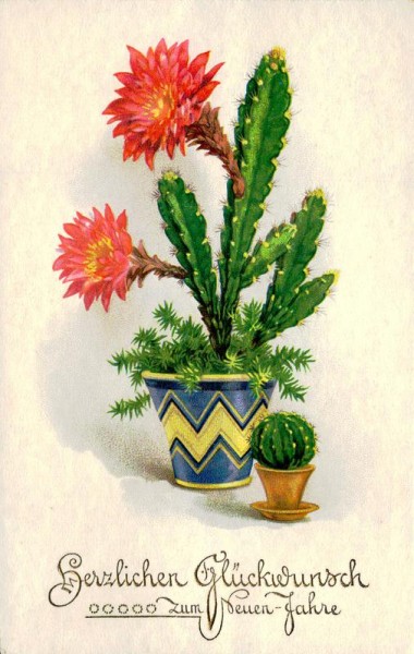 Herzlichen Glückwunsch zum Neuen Jahre Vorderseite