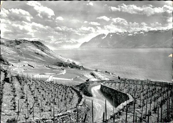 Lac Léman Vorderseite