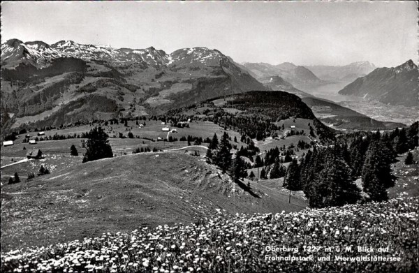 Frohnalpstock und Vierwaldstättersee Vorderseite