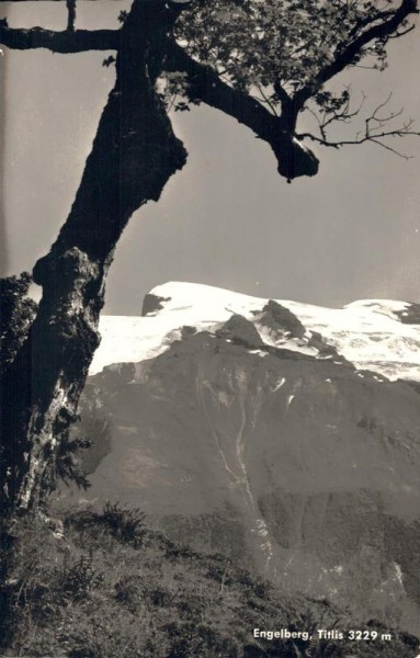 Engelberg. Titlis Vorderseite