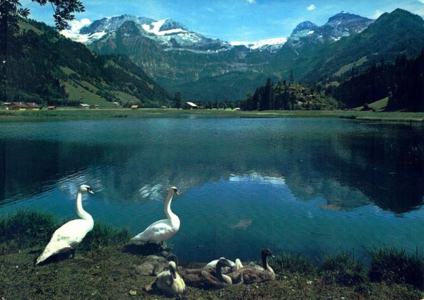 Lenk, Berner Oberland, Seeli mit Wildstrubel Vorderseite