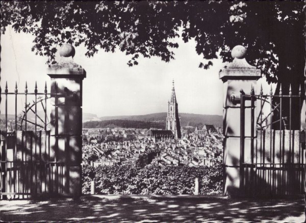 Bern Aussicht vom Rosengarten