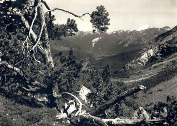 Blick vom Ofenpasshöhe gegen Münstertal und Ortler Vorderseite