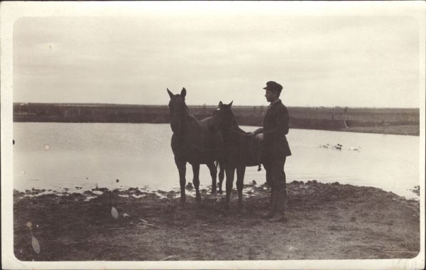 Mann mit Pferden am Fluss oder See
