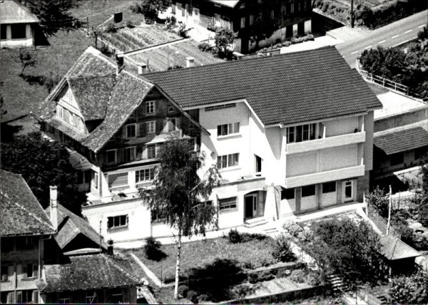 Steinerberg, Löwen, Flugaufnahme Vorderseite