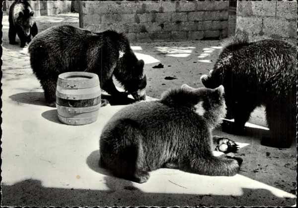 Lausanne, Expo 1964, Les ours Vorderseite