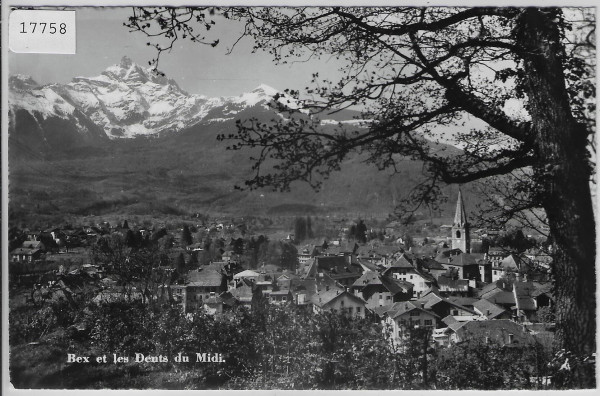 Bex et les Dents du Midi