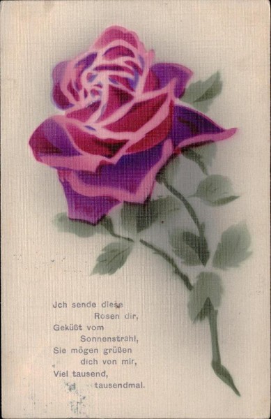 Ich sende diese Rosen dir... Vorderseite