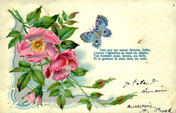 Tant que ton amour fleurira Vorderseite