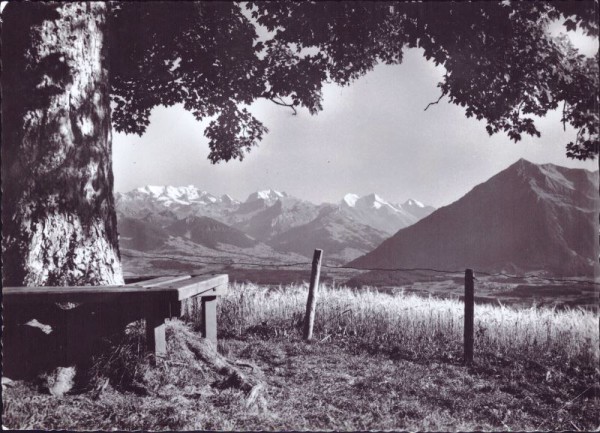 Schwendi ob Thun (1100,) Ausblick gegen Blümlisalp Doldenhorn Balmhorn Altels Rinderhorn Niesen