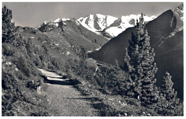 Am Höhenweg mit Piz Palü Vorderseite