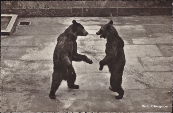 Bern, Bärengraben