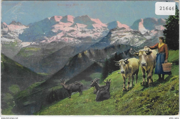 Niesenbahn - Bäuerin mit Kühen u. Ziegen, chevre, goat - Litho