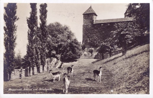 Rapperswil. Schloss und Hirschpark