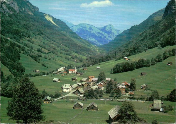 Weisstannen (SG) mit Gonzen (1830 m) Vorderseite