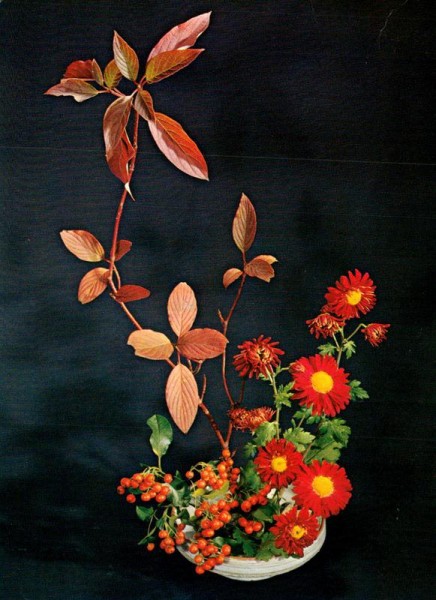 Astern, Gerbera und Vogelbeeren Vorderseite