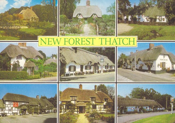 New Forest Thatch