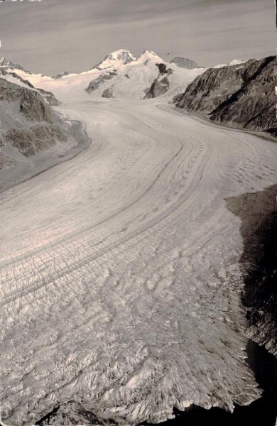 Eggishorn: Mönch - Trugberg - Eiger,  Gr. Aletschgletscher Vorderseite