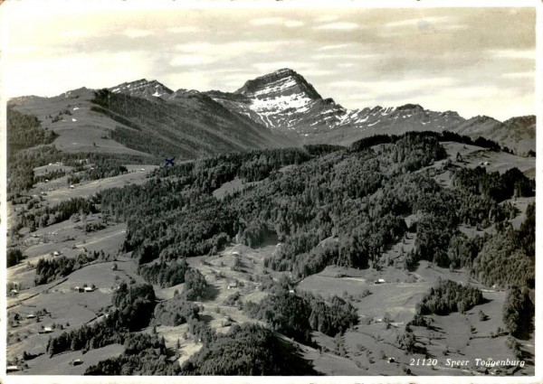 Speer, Toggenburg Vorderseite