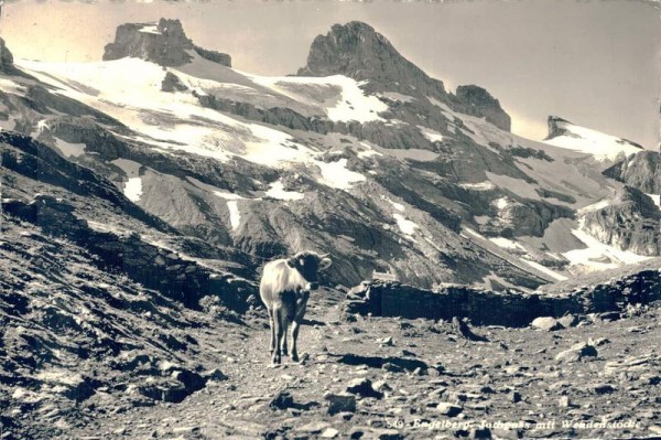 Engelberg. Jochpass mit Wendenstöcke Vorderseite