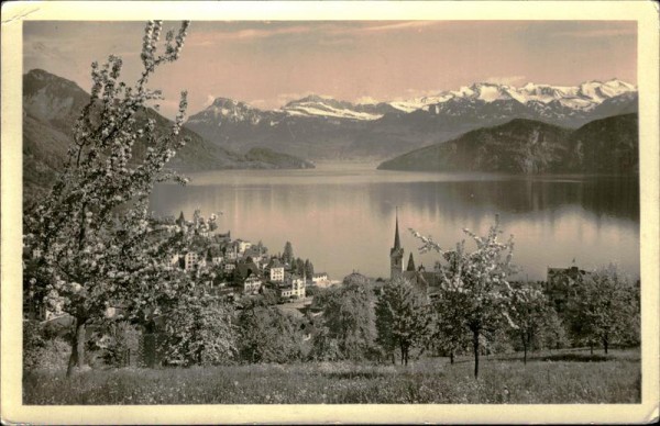 Weggis mit den Alpen Vorderseite