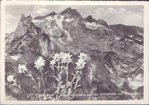 Blick vom Fählenturm auf die Säntiskette Vorderseite