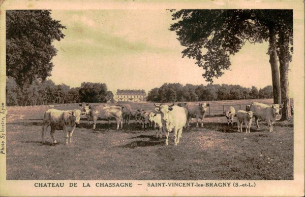 Chateau de la Chassagne-Saint-Vincent-les-Bragny Vorderseite