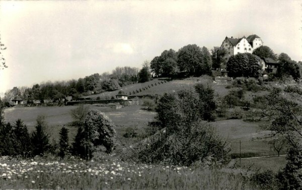 Schloss Wildegg Vorderseite