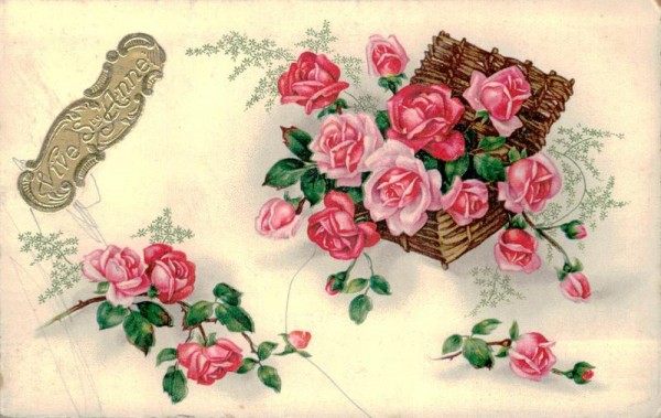 Vive Sté Anne Vorderseite