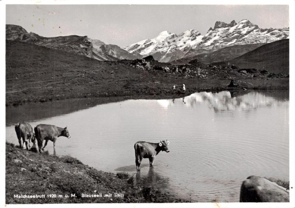 Melchseefrutt, Blauseeli mit Titlis Vorderseite