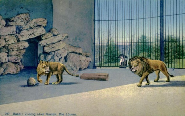 Basel, Zoologischer Garten, Die Löwen Vorderseite