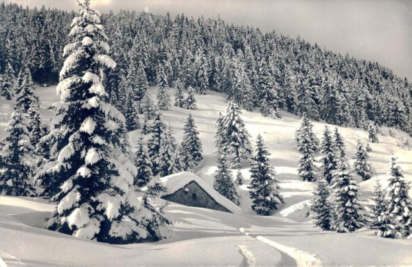 Motivo d`inverno in Leventina Vorderseite