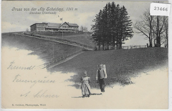 Gruss von der Alp Scheidegg Zürcher Oberland - animee