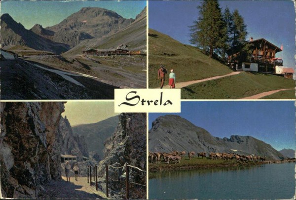 Strela Vorderseite