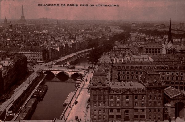 Panorama de Paris pris de Notre-Dame. 1913