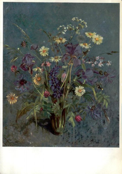 Wiesenblau Vorderseite