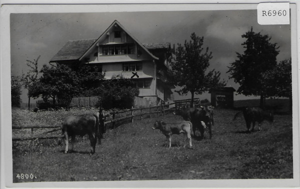 Kurhaus Hüberli - Nesslau - Kühe vaches cows