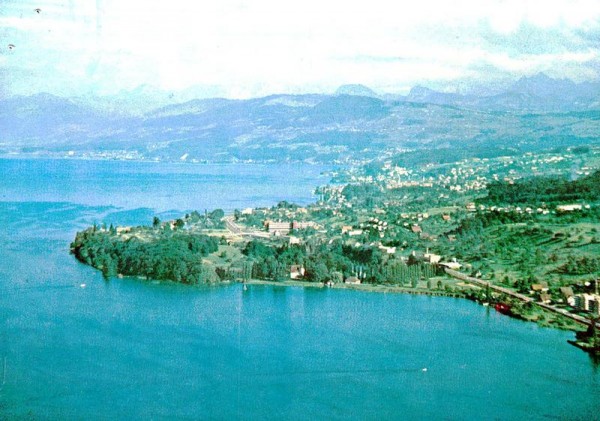 Zürichsee Halbinsel Au  ZH - Flugaufnahmen Vorderseite