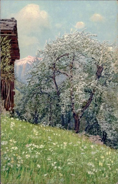 Frühling im Prättigau Vorderseite
