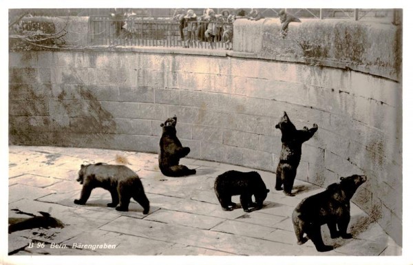 Bärenpark Bern Vorderseite