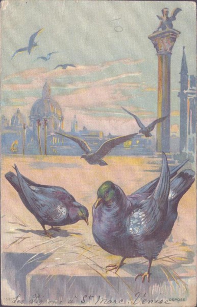 Tauben, Venedig Vorderseite